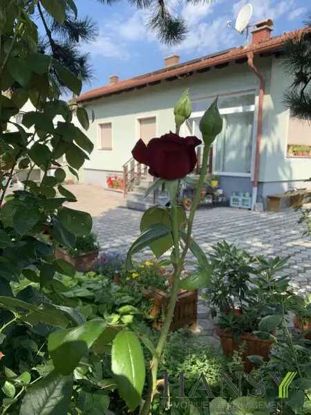 Großzügiges, bezugsfertiges Traumhaus mit Baugrund, Doppelgarage und Gartenidylle