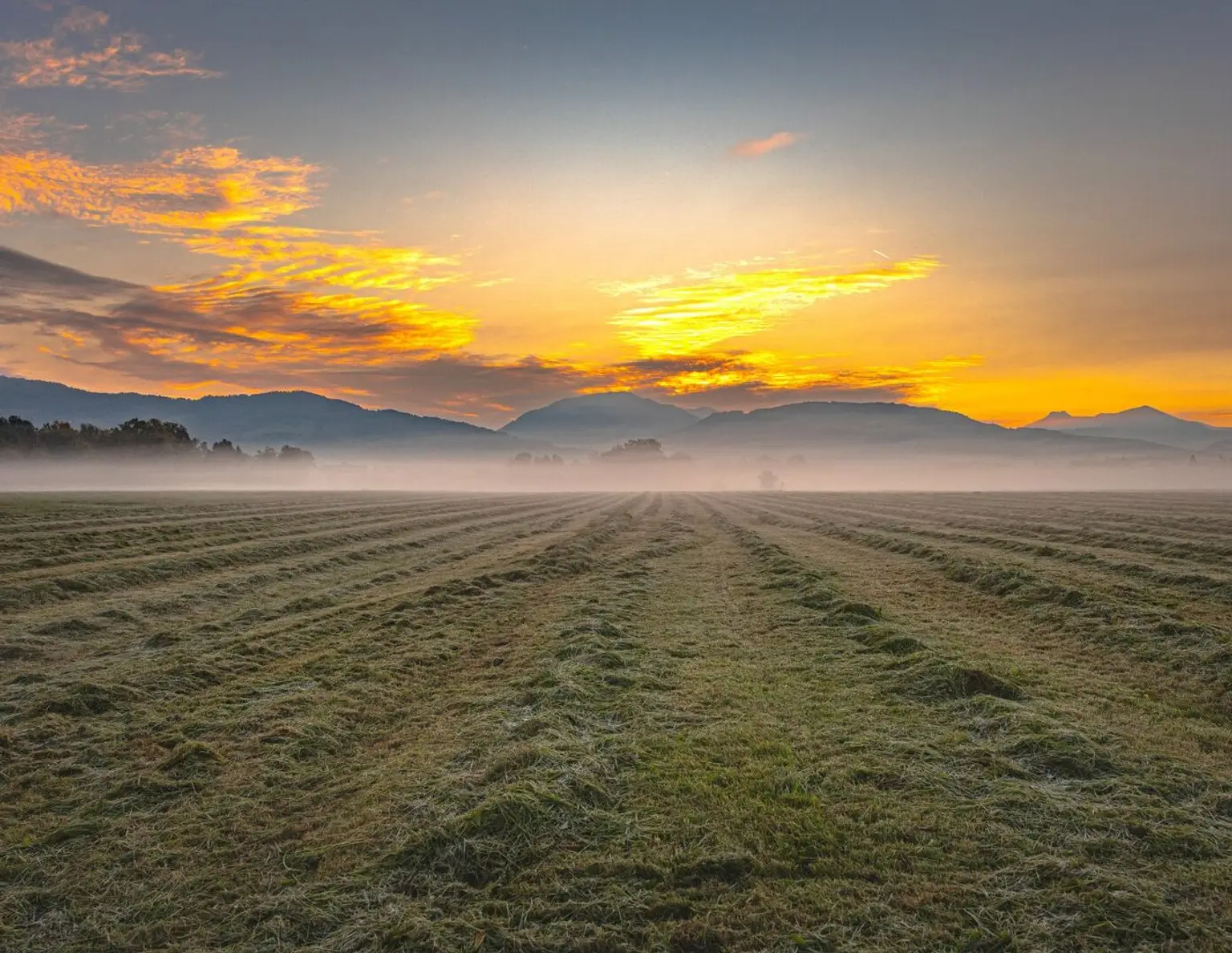 MORGENTAU LEOPOLDSKRON | PANORAMAGRUNDSTÜCK
