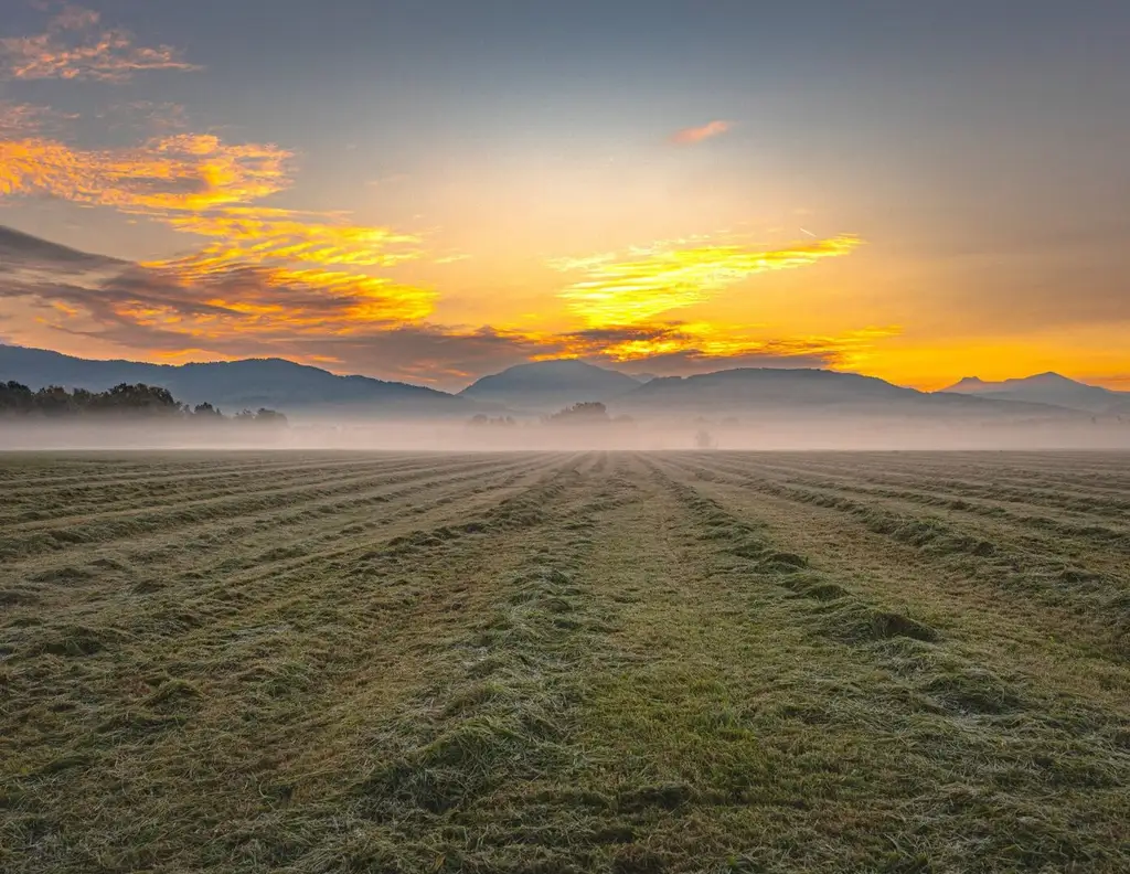 MORGENTAU LEOPOLDSKRON | PANORAMAGRUNDSTÜCK