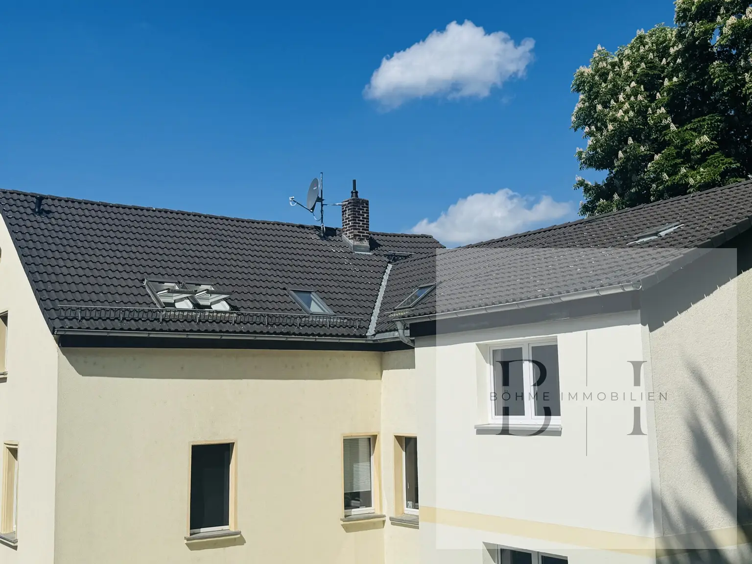 Rückansicht (3)