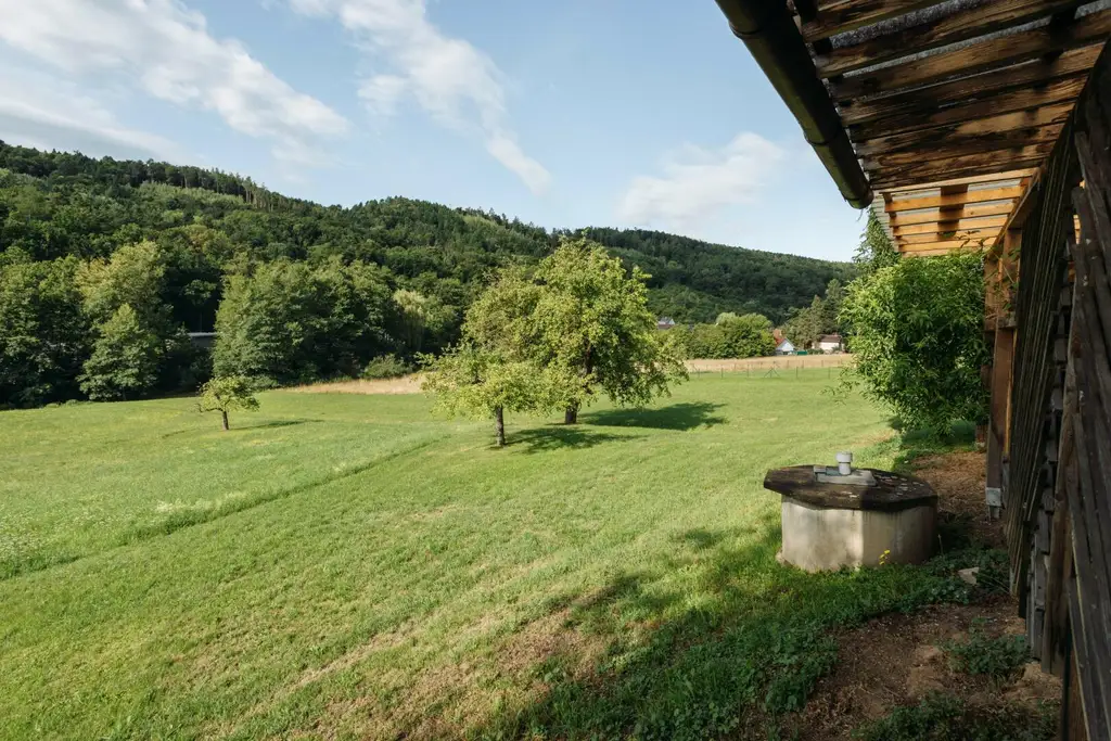 8054 Strassgang - Idyllische Liegenschaft zum Bauen, Pflanzen, Leben mit ca. 5000 m² und Altbestand in ruhiger Sackgassenlage