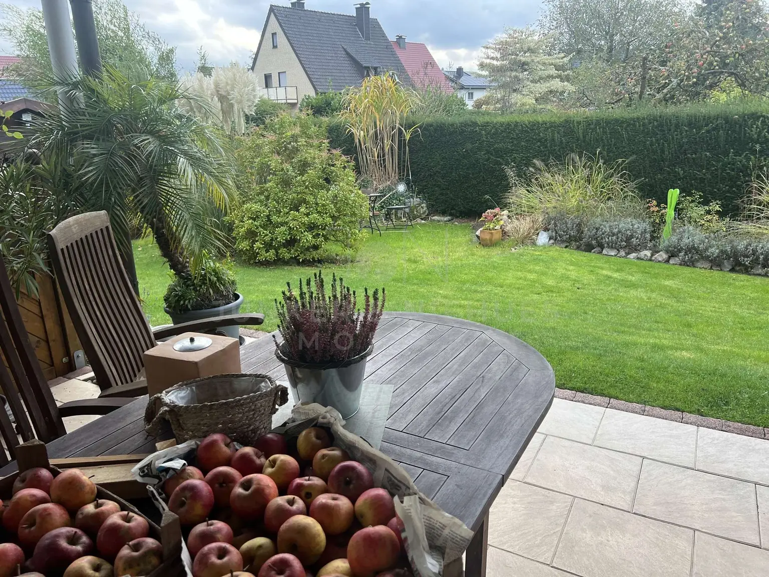 Blick in den Garten