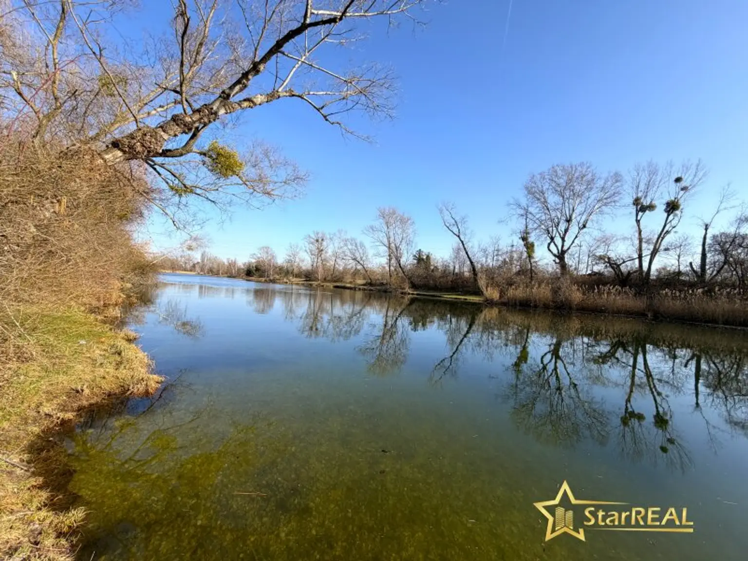 Mühlwasser gegenüberliegende Straßenseite
