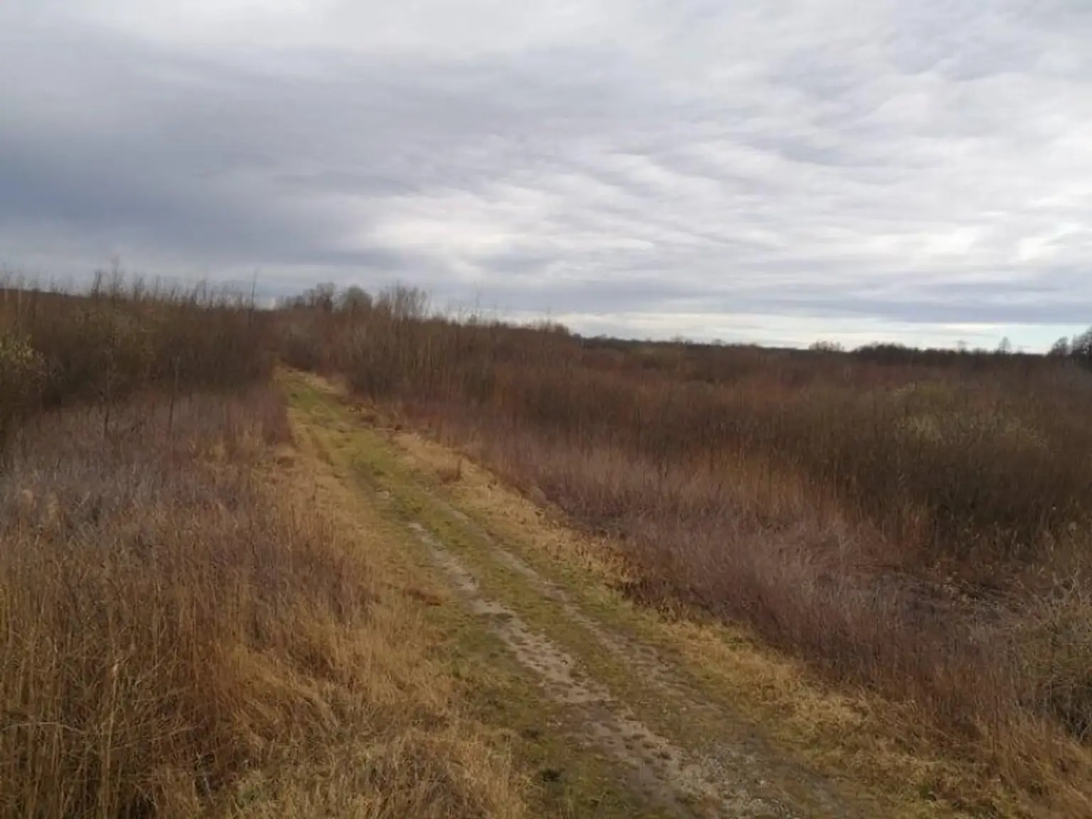 Zalakomár Feldweg