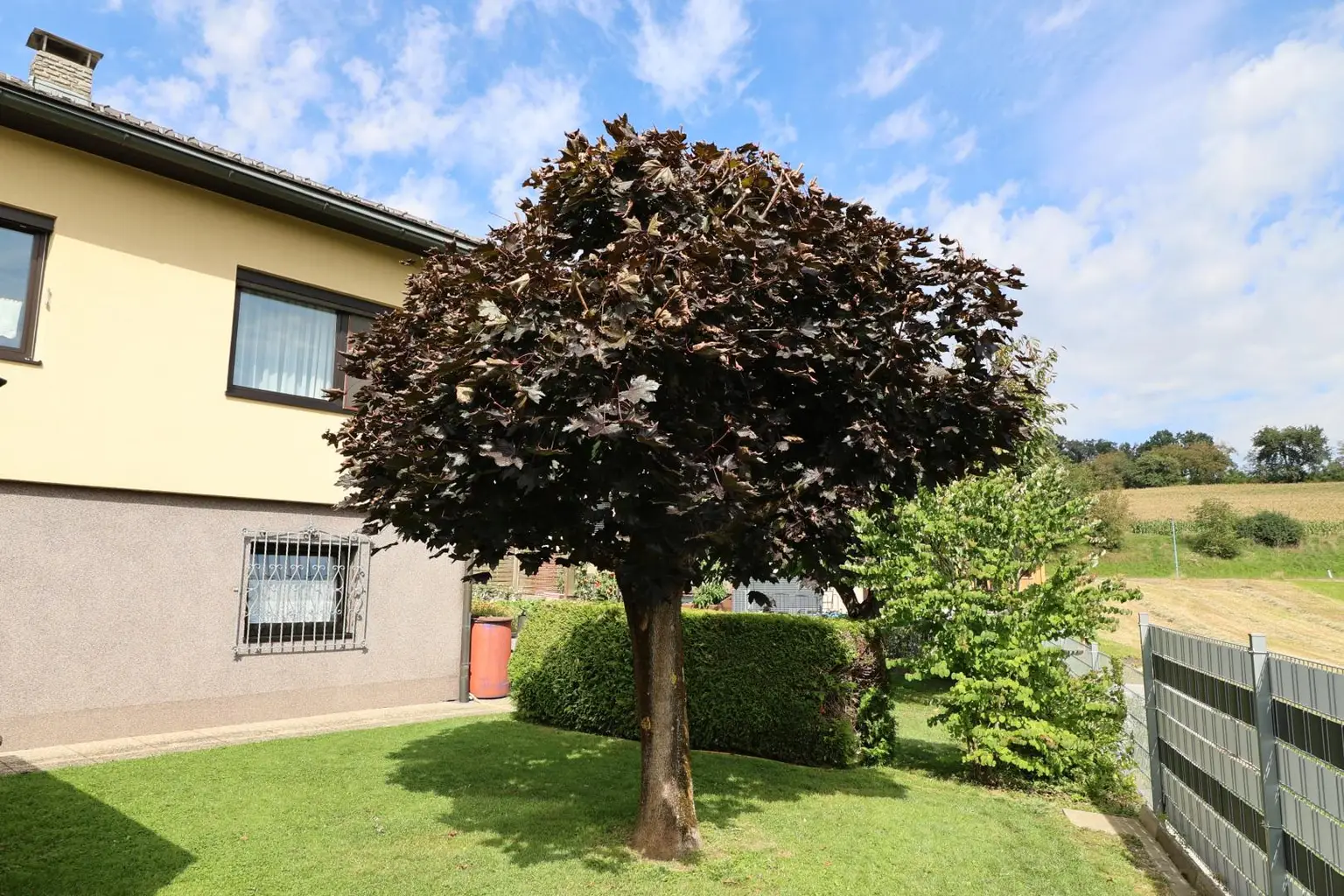 Gepflegtes Haus in ländlicher Lage