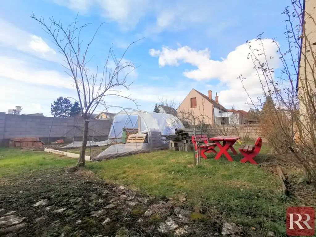 Sonniges Baugrundstück mit 50m² Halle