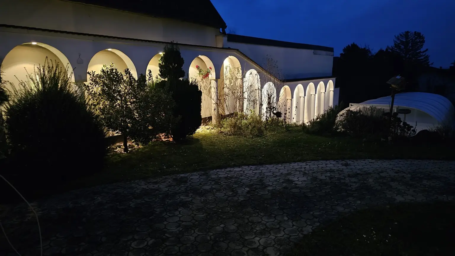 Garten-Nacht-1