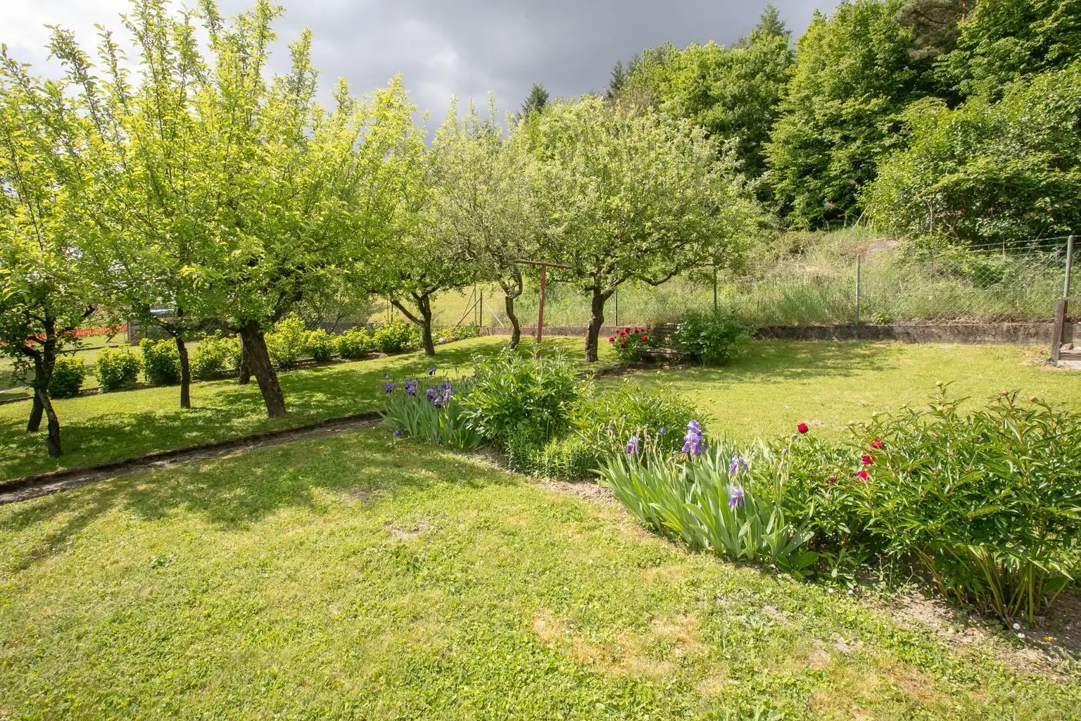 Garten_Ansicht 1
