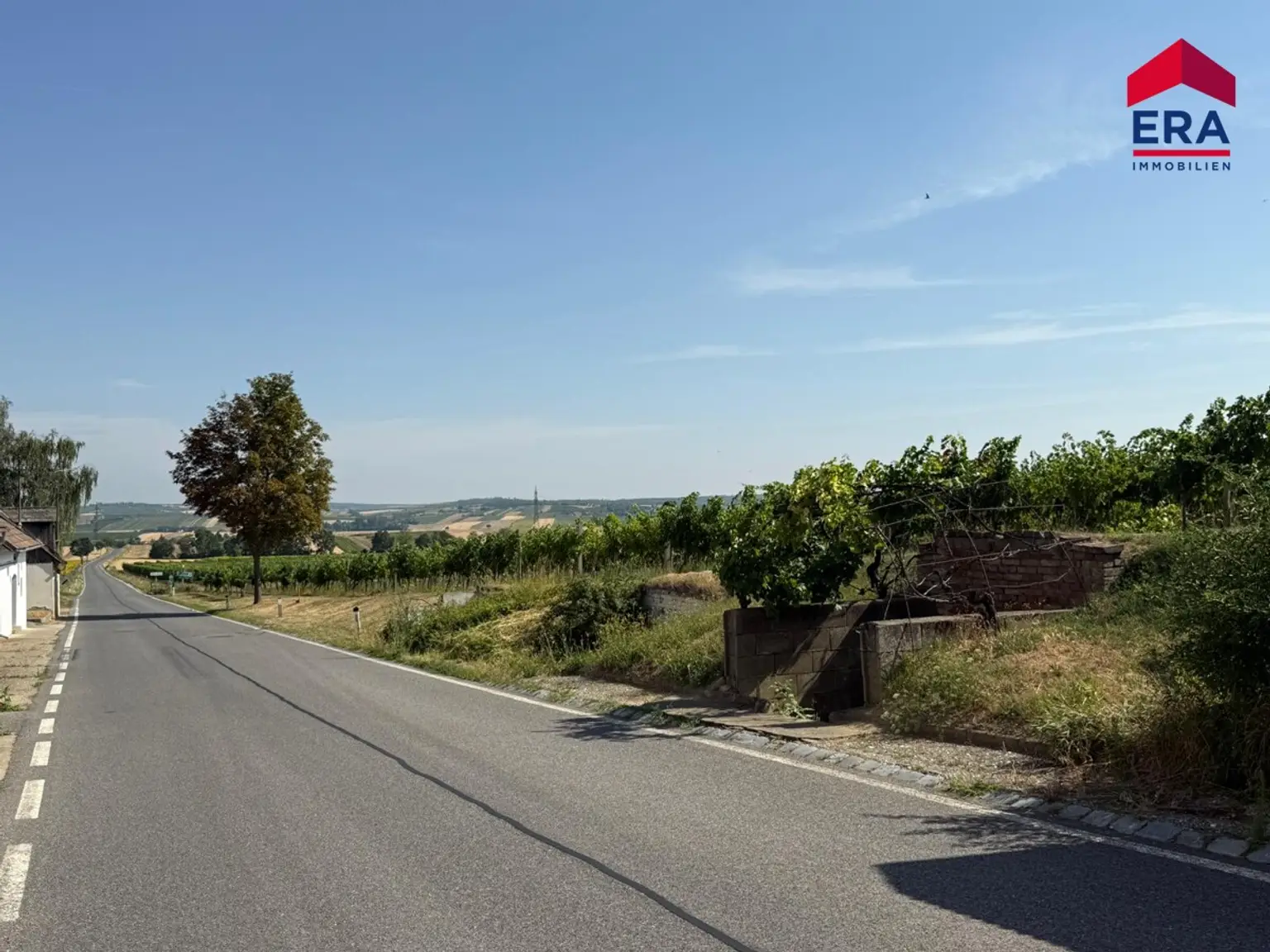 Traditionelles Presshaus mit Kellerröhre in Ketzelsdorf nahe der Weinstadt Poysdorf