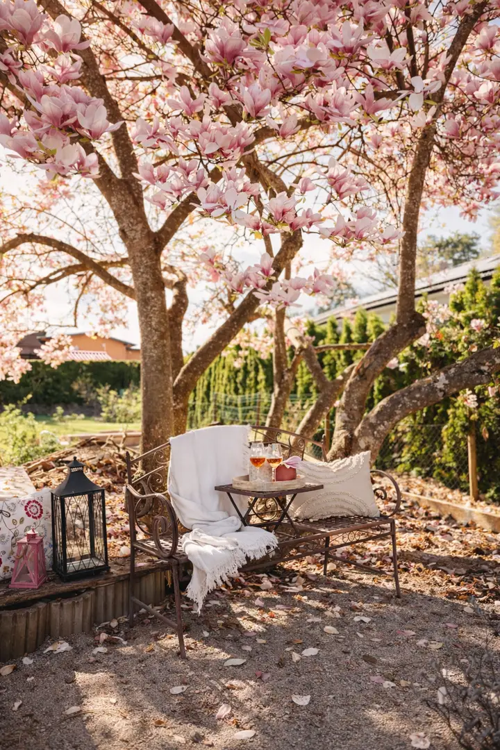 Frühling im Garten unter Magnolie