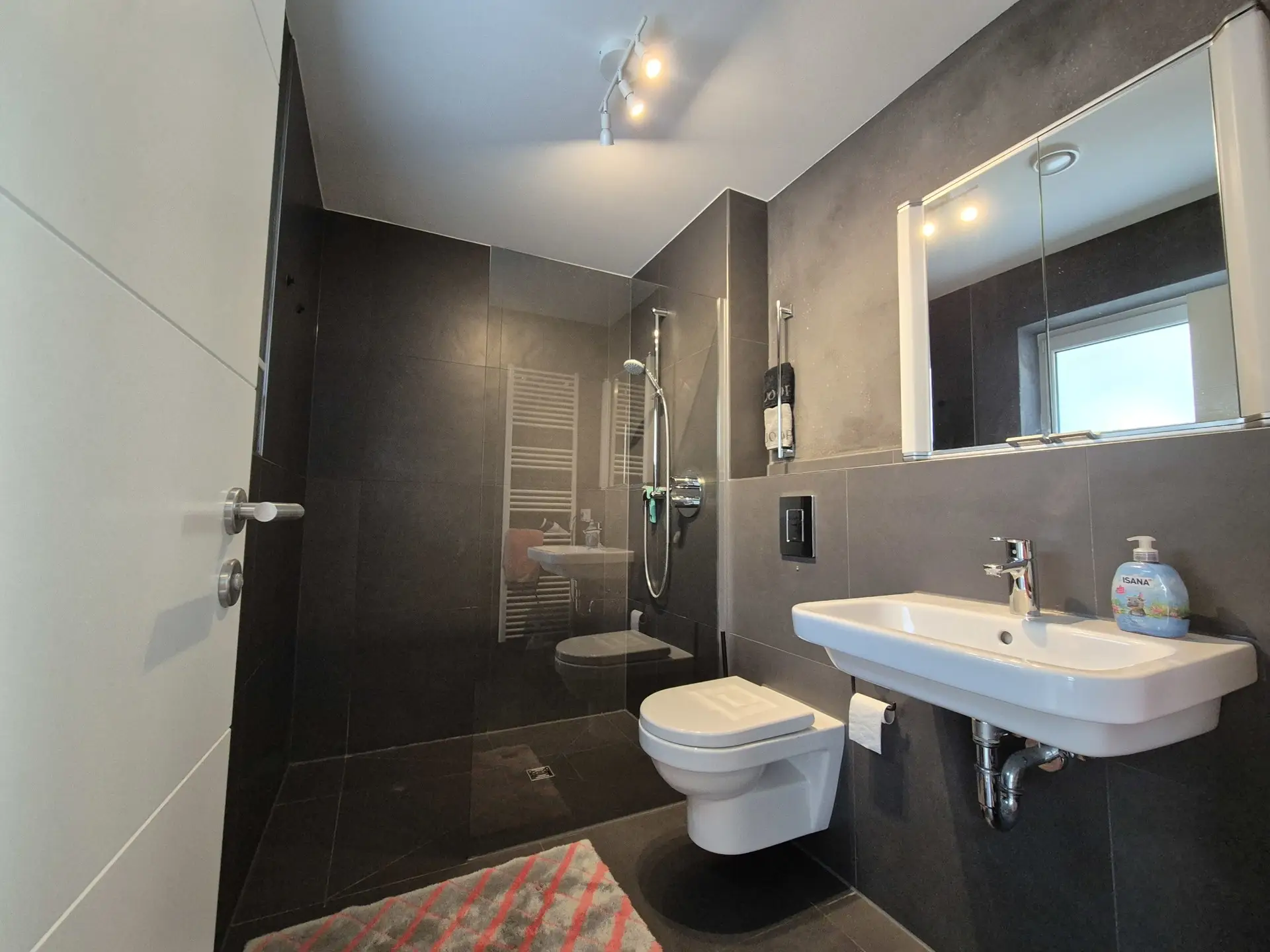 Tageslichtbad mit Dusche im EG