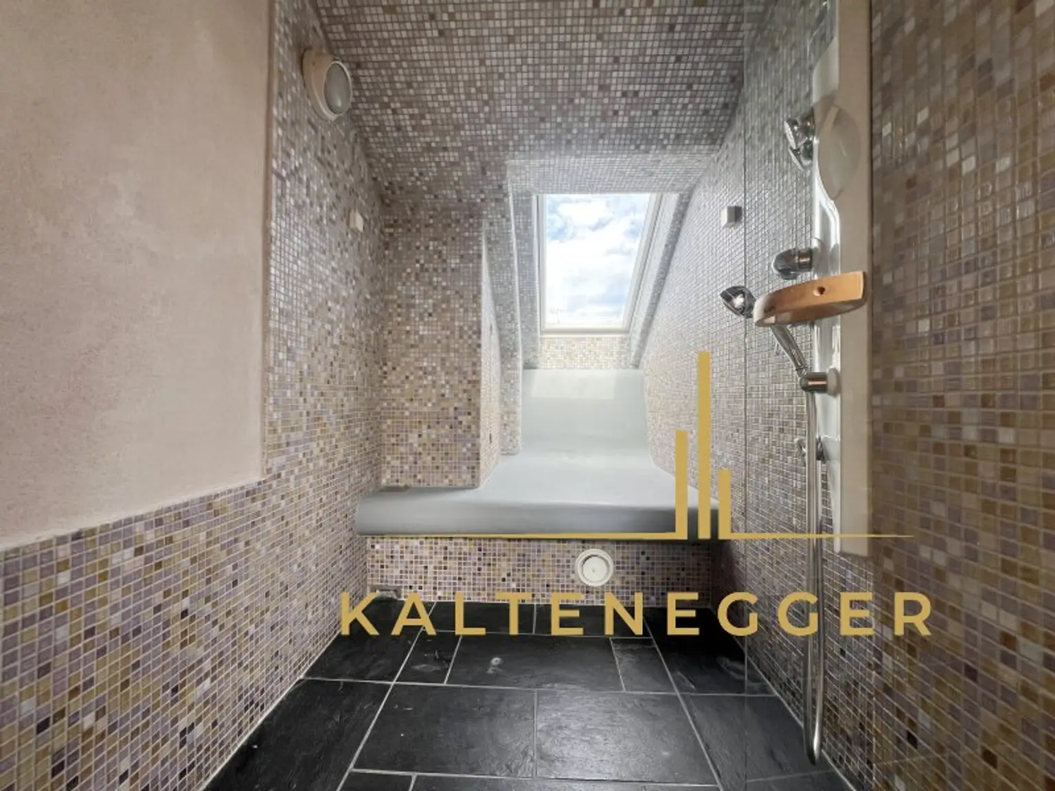 PENTHOUSE IN DER ANASTASIUS-GRÜN-GASSE
