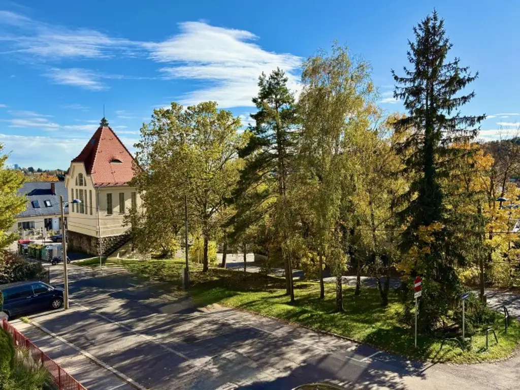 EINE DER SCHÖNSTEN LAGEN WIENS! SALMANNSDORFER ERSTBEZUG MIT 4 ZIMMERN UND GARAGE