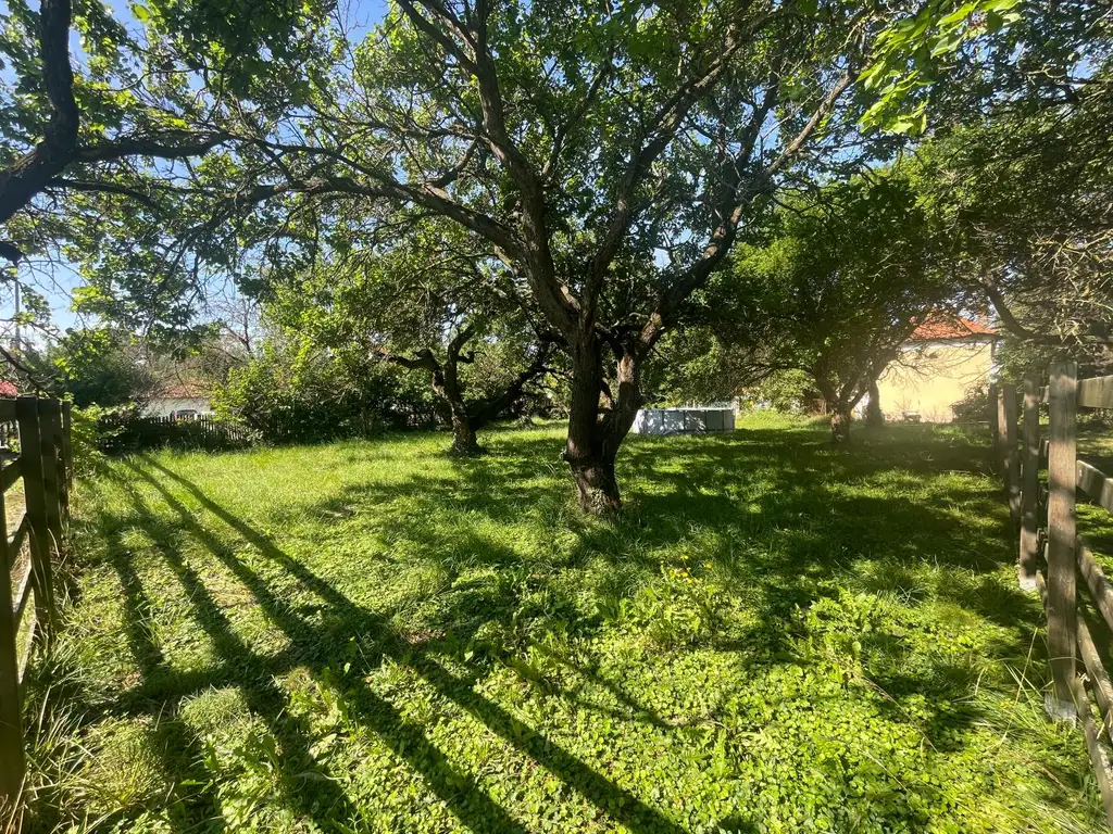 TRAUMHAUS GESUCHT!