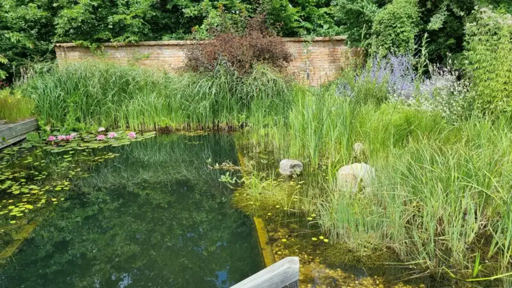 Luxus und Wohlbefinden - Traumvilla mit uneinsehbarem Garten in Grünlage