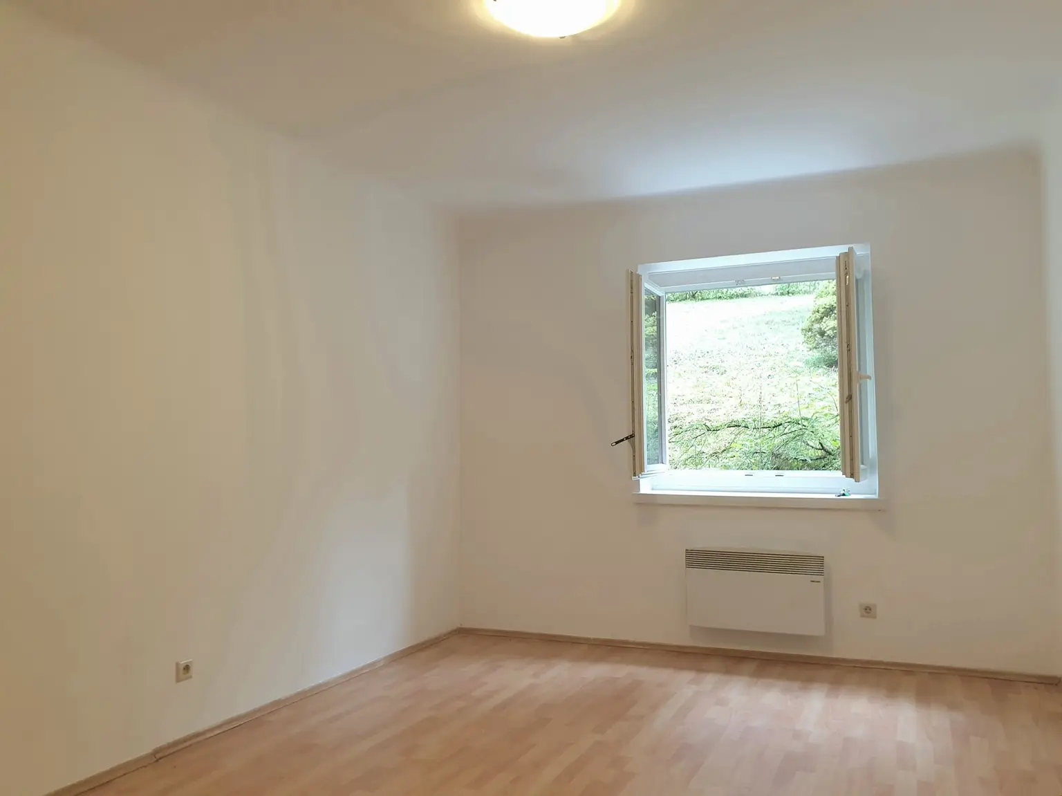 Wohn- / Schlafzimmer