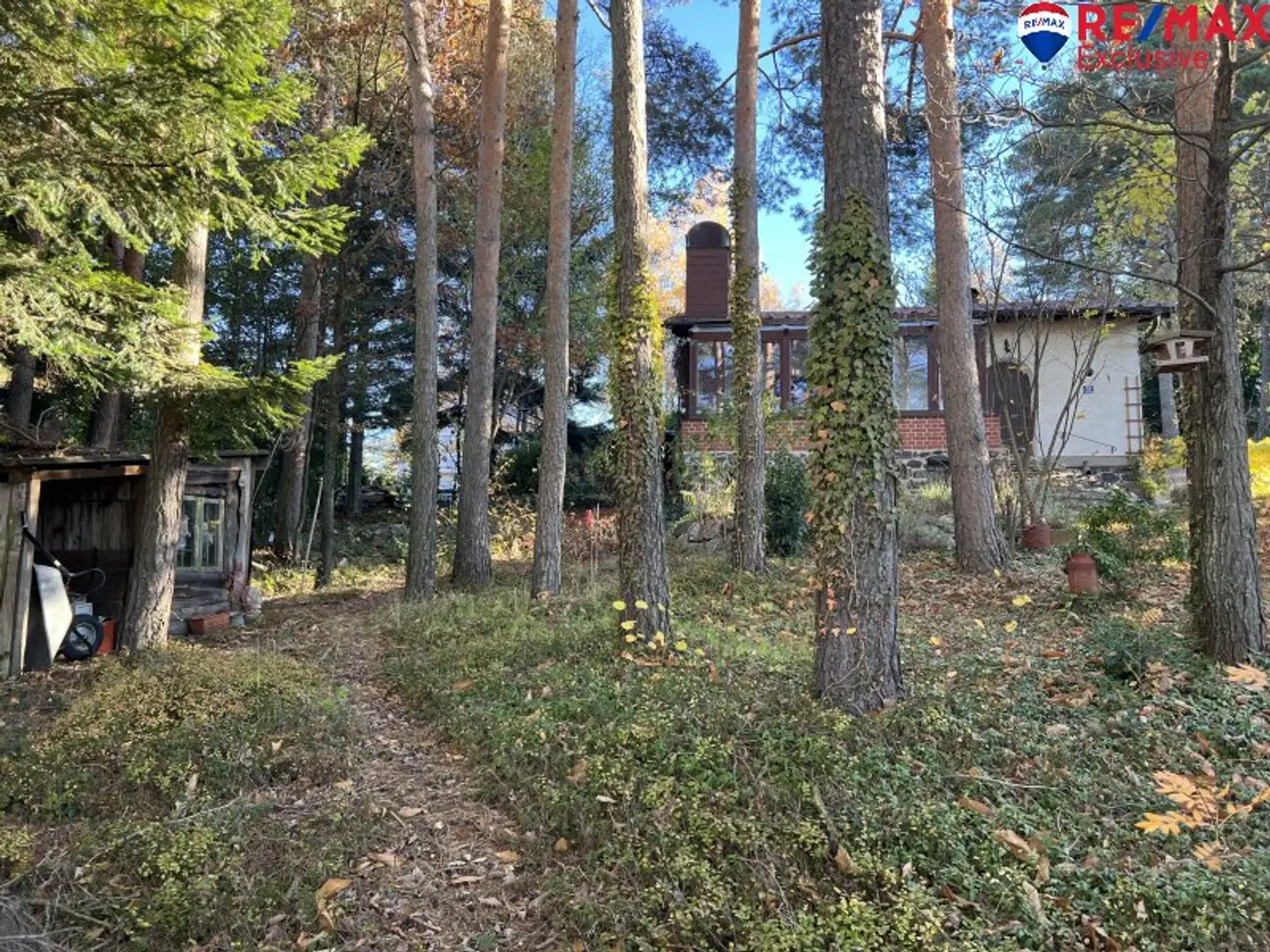 Klein und fein in der Buckligen Welt! Kleines Haus auf fast 2000m2!