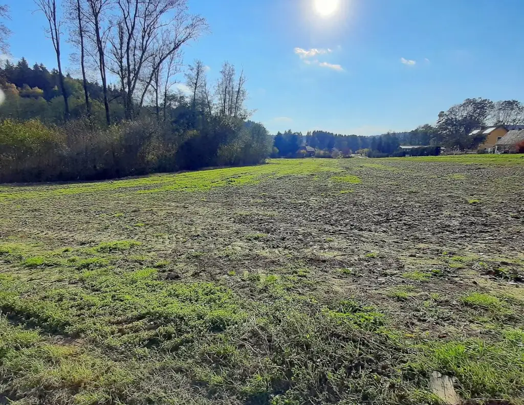 Schönes, sonniges Bauträger-Grundstück in Allerheiligen bei Wildon.