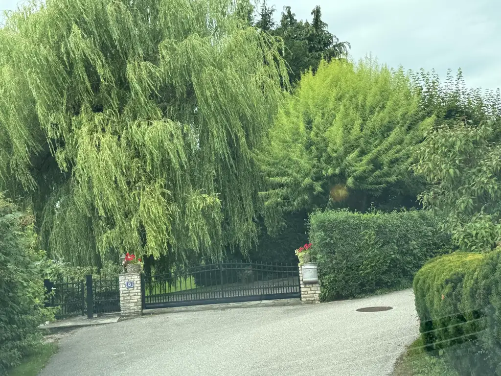 Ein Traum wird wahr...!