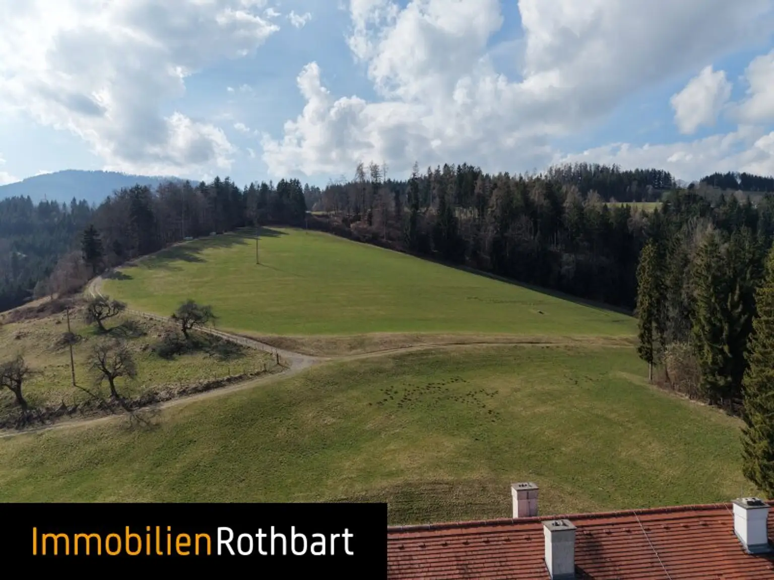 Wald mit Wiese und Zinshaus!