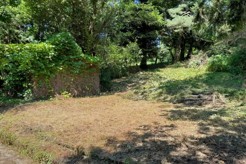 Großzügiges Baugrundstück mit Abbruchhaus und Grünlandanteil im Irenental