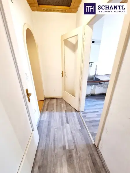 Schön ist was anderes. Aber das wird schon! Ideale 1-Zimmer-Wohnung in 1030 Wien - Selbst Gestalten - Sanierungsbedürftige Altbauwohnung! U-Bahn ums Eck + Traumhaft renoviertes Altbauhaus + Optimalste Infrastruktur und…