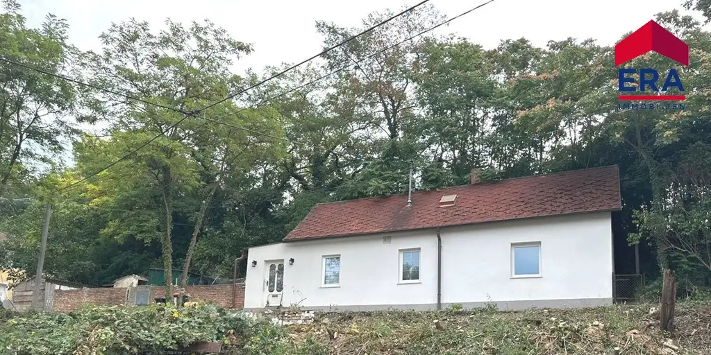 Hausbrunn MIETE - Generalsaniertes Einfamilienhaus in ruhiger Grünlage mit Terrasse und Garten