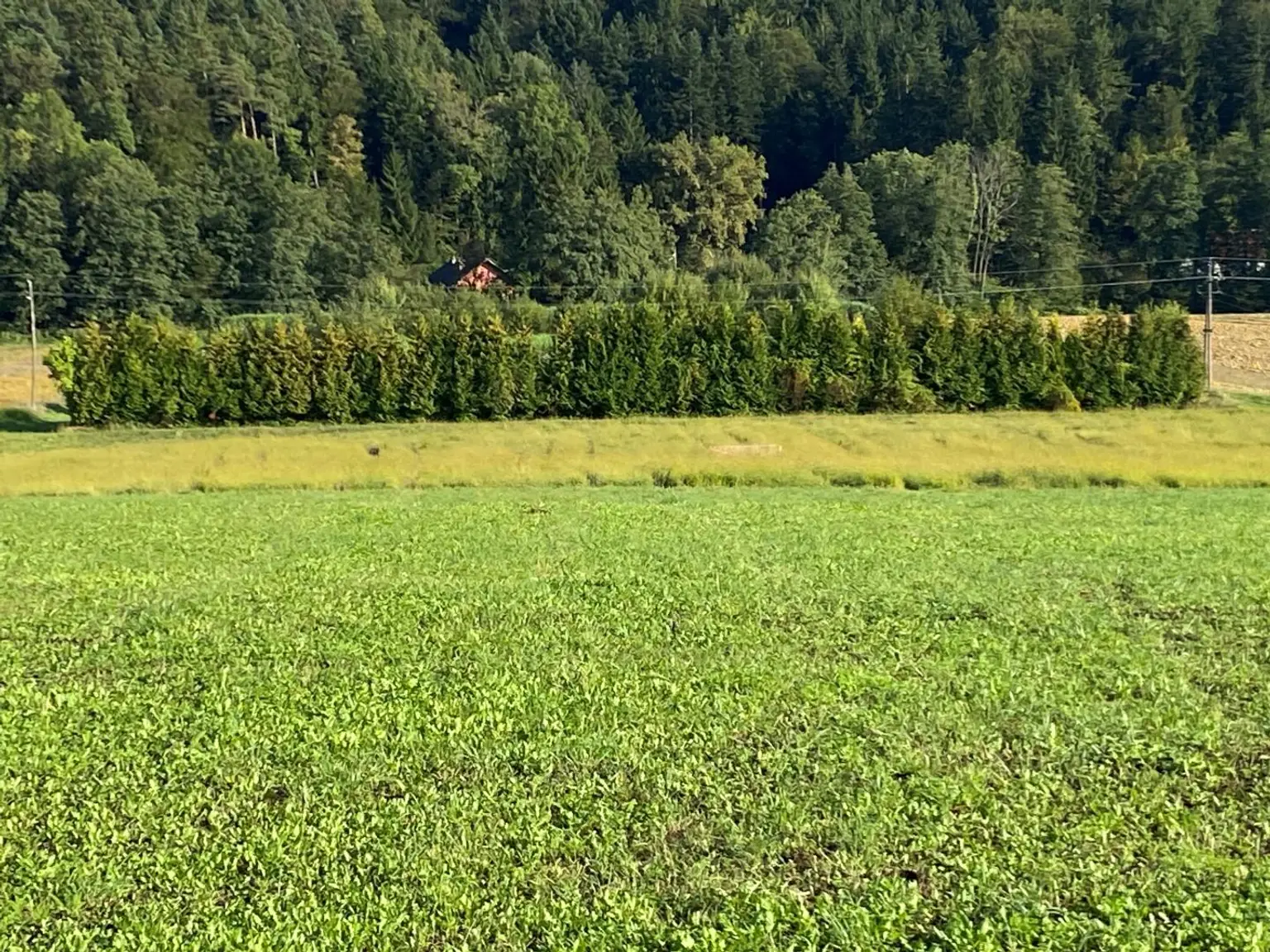 Gewerbegrundstück und Freiland in gefragter Lage nahe Graz
