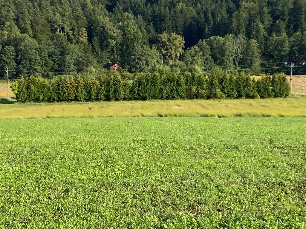 Gewerbegrundstück und Freiland in gefragter Lage nahe Graz