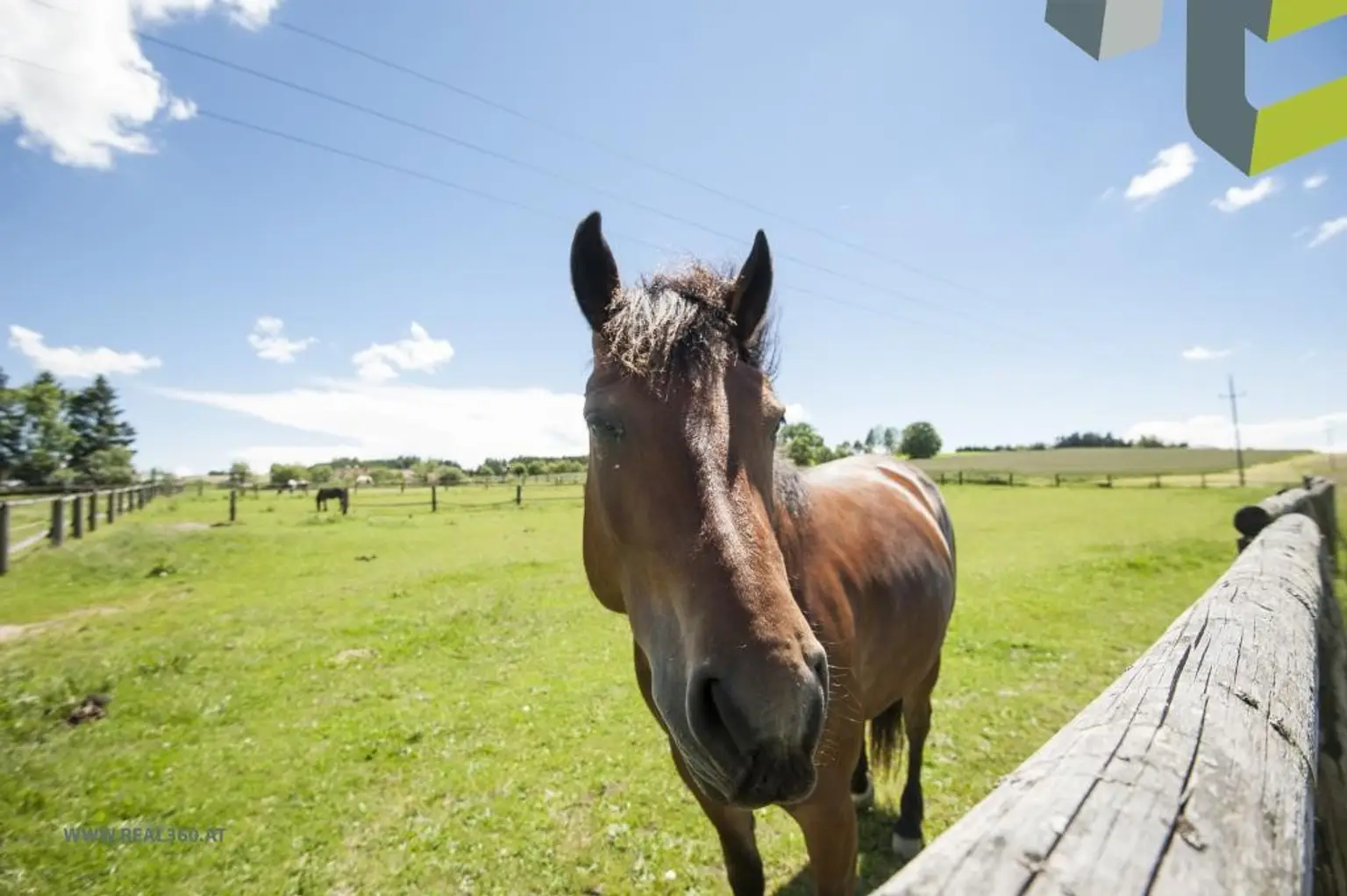 Einer der Reiterhöfe in Kirchschlag