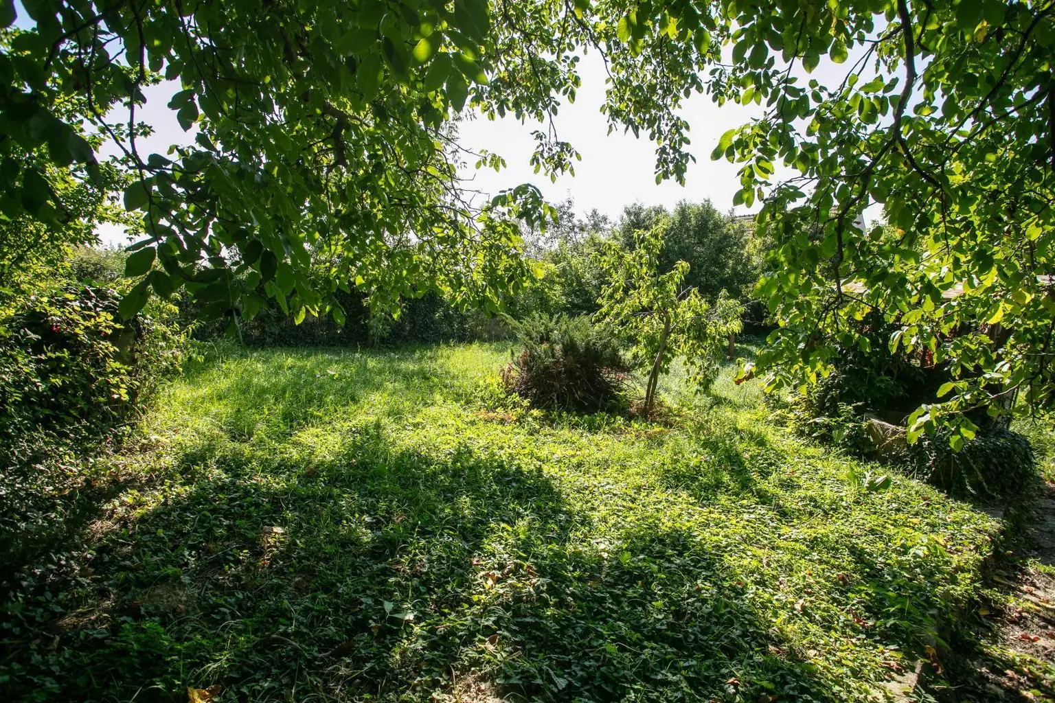 Garten 2