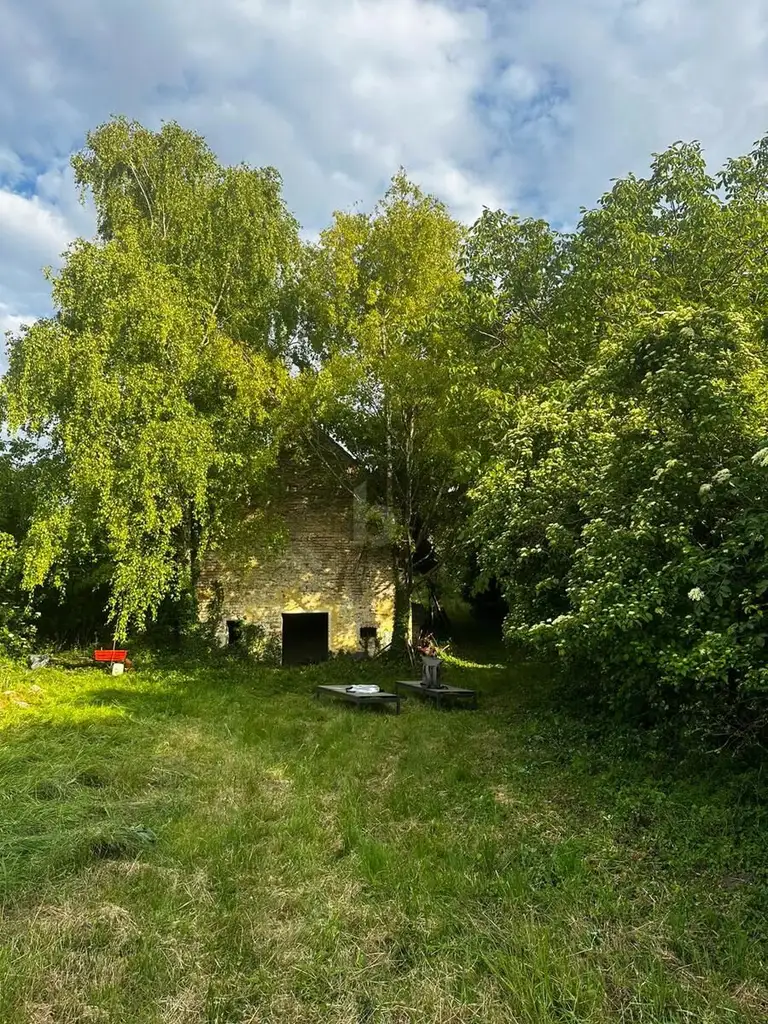IDYLLISCHES BAUGRUNDSTÜCK: RUHEOASE MIT POTENZIAL