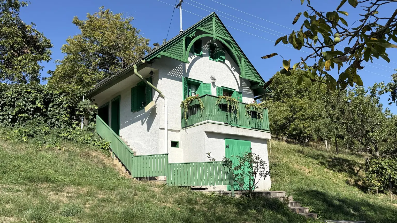 Zugang