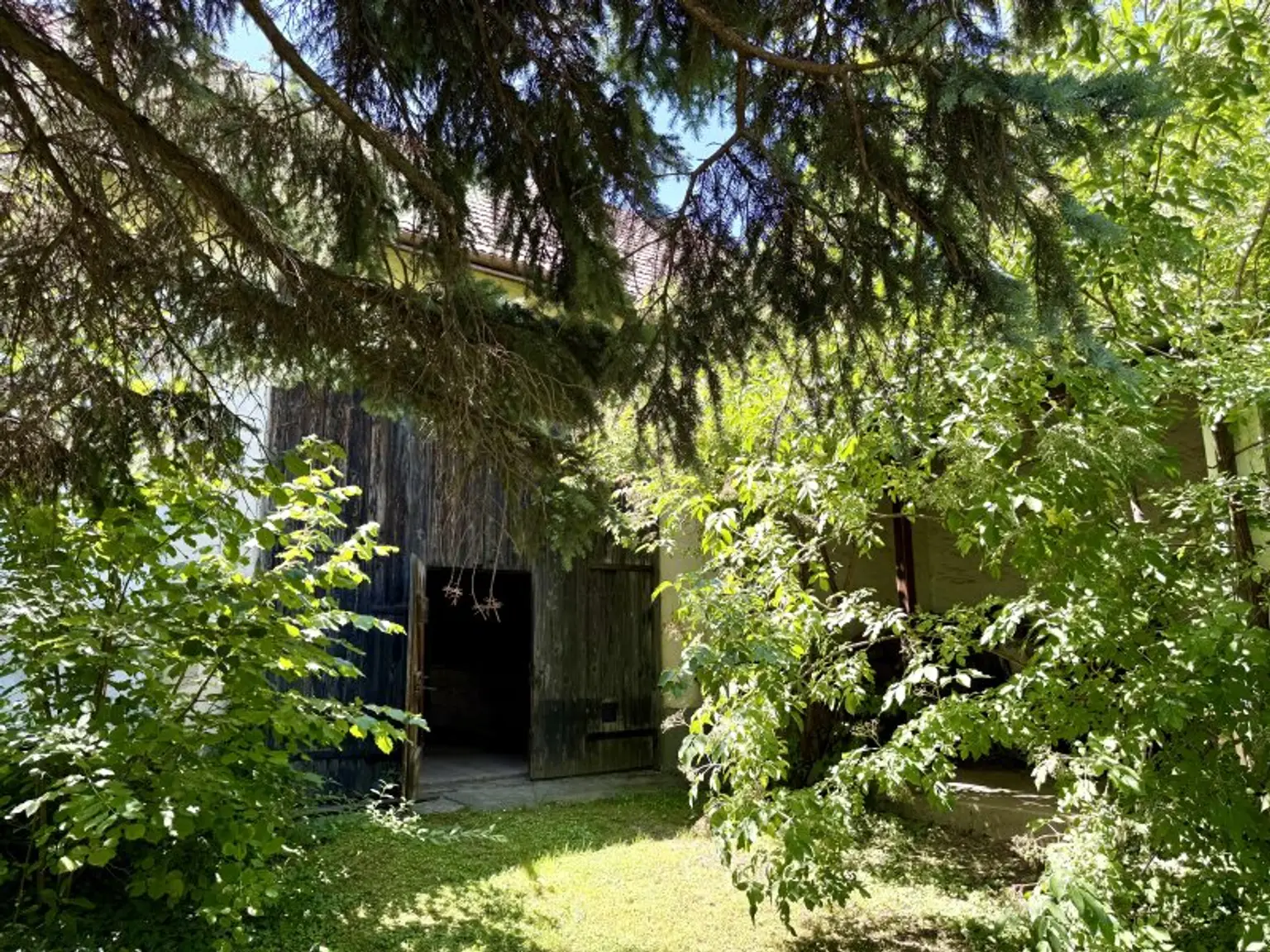 idyllischer verträumter Garten - kein vis-a-vis - einzigartiger Baugrund - 578 m² - Nähe Therme Oberlaa