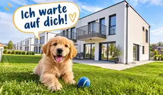 Auch Ihr Hund wird hier glücklich