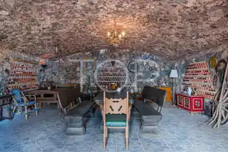 Villa-San-Miguel-bodega-Teneriffa