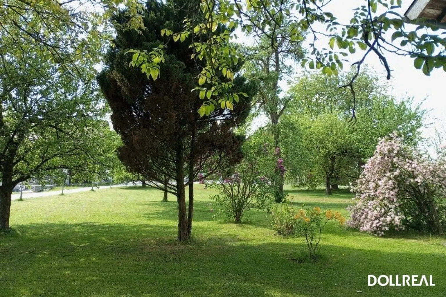 Baum- und Strauchbestand der Gesamtfläche.