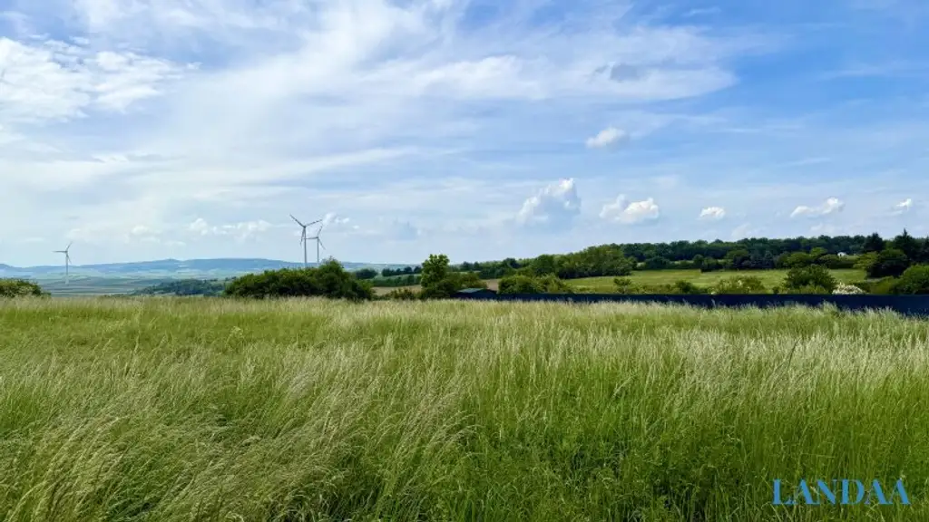 ++ NEU ++ Modernes Wohnen im Weinviertel – Drei belagsfertige Doppelhaushälften in Neubau