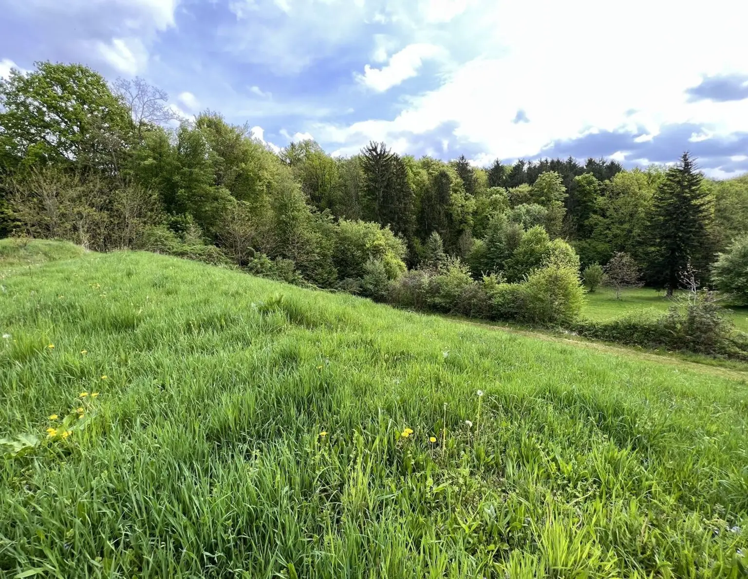 Baugrundstück in Sinabelkirchen - Ruhig, sonnig & zentrumsnah