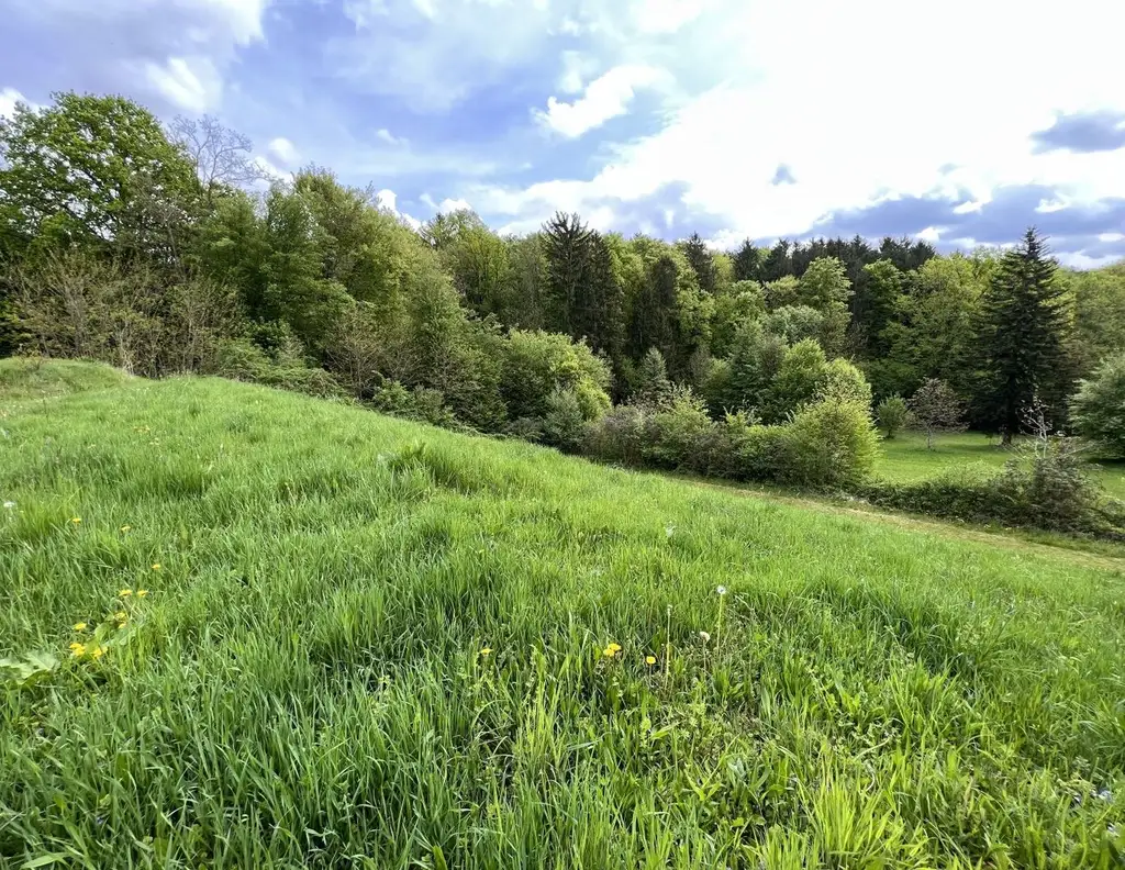 Baugrundstück in Sinabelkirchen - Ruhig, sonnig & zentrumsnah