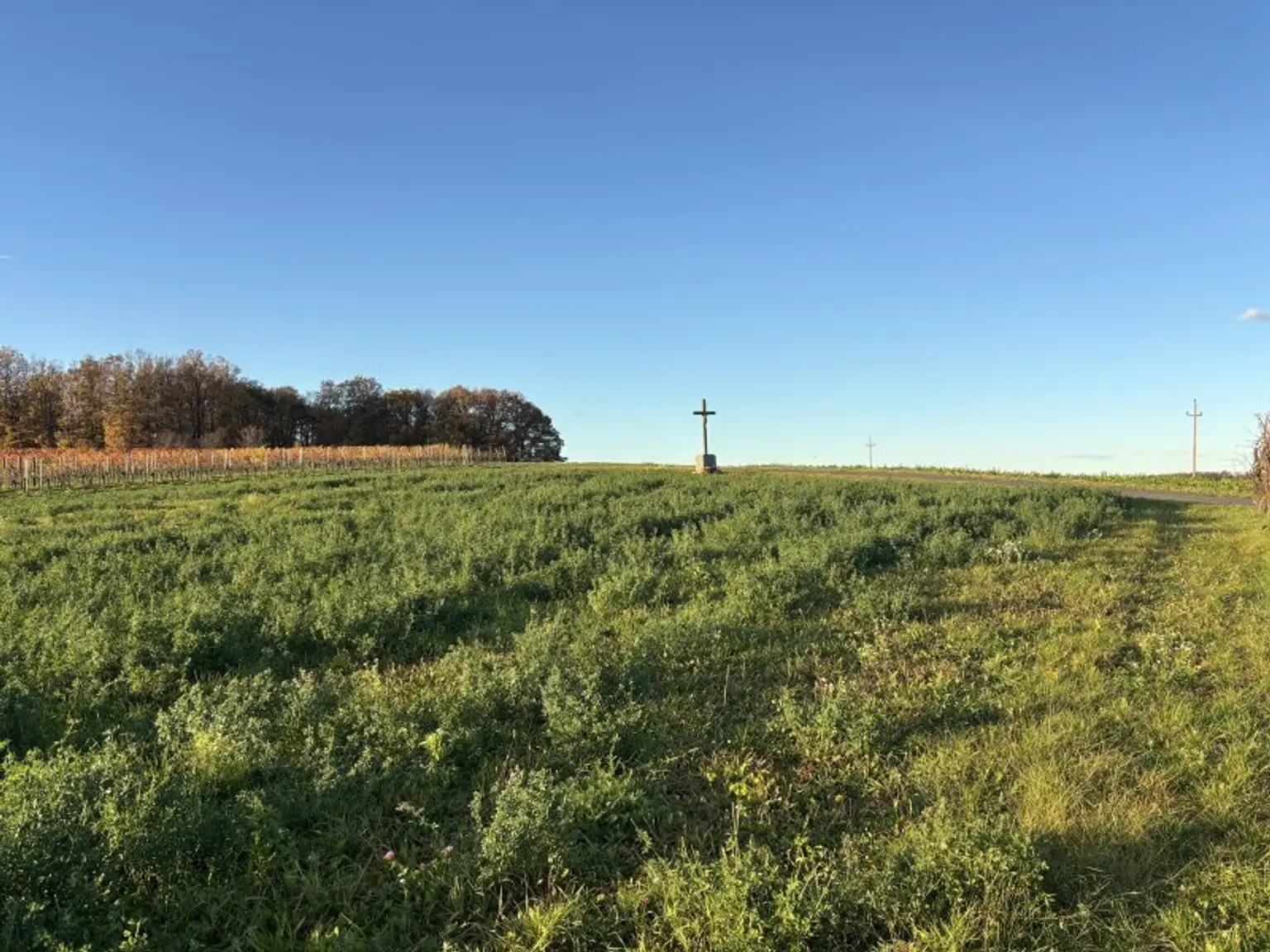 ** LEGENDE IN DER WEINIDYLLE ** D. Ehrensdorf !! Gepflegtes Haus mit ca. 245 m2 Nfl. in gediegener Ortsrandlage - Hauptwohnsitz möglich !!