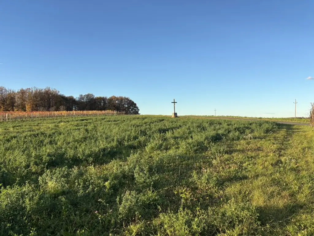 ** LEGENDE IN DER WEINIDYLLE ** D. Ehrensdorf !! Gepflegtes Haus mit ca. 245 m2 Nfl. in gediegener Ortsrandlage - Hauptwohnsitz möglich !!