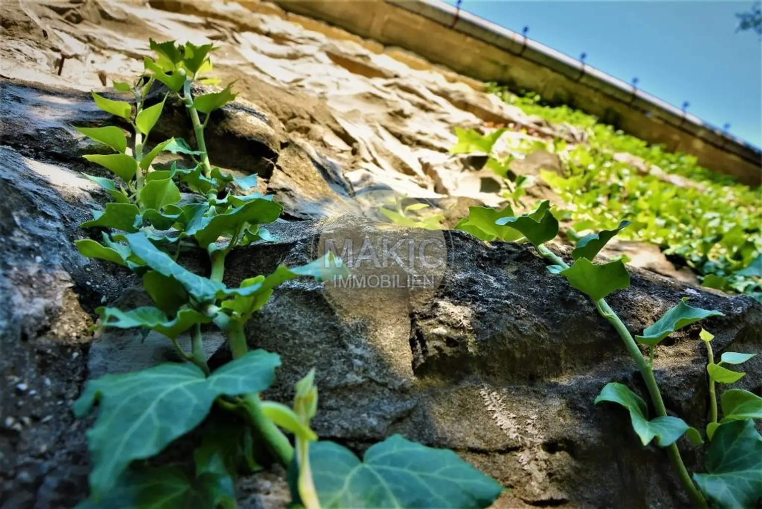 ISTRIEN - Haus zur Restaurierung mit Blick auf Grožnjan