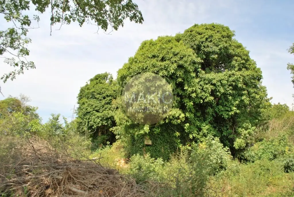 ISTRIEN - RENOVIERUNGSBEDÜRFTIGES STEINHAUS MIT MEERBLICK