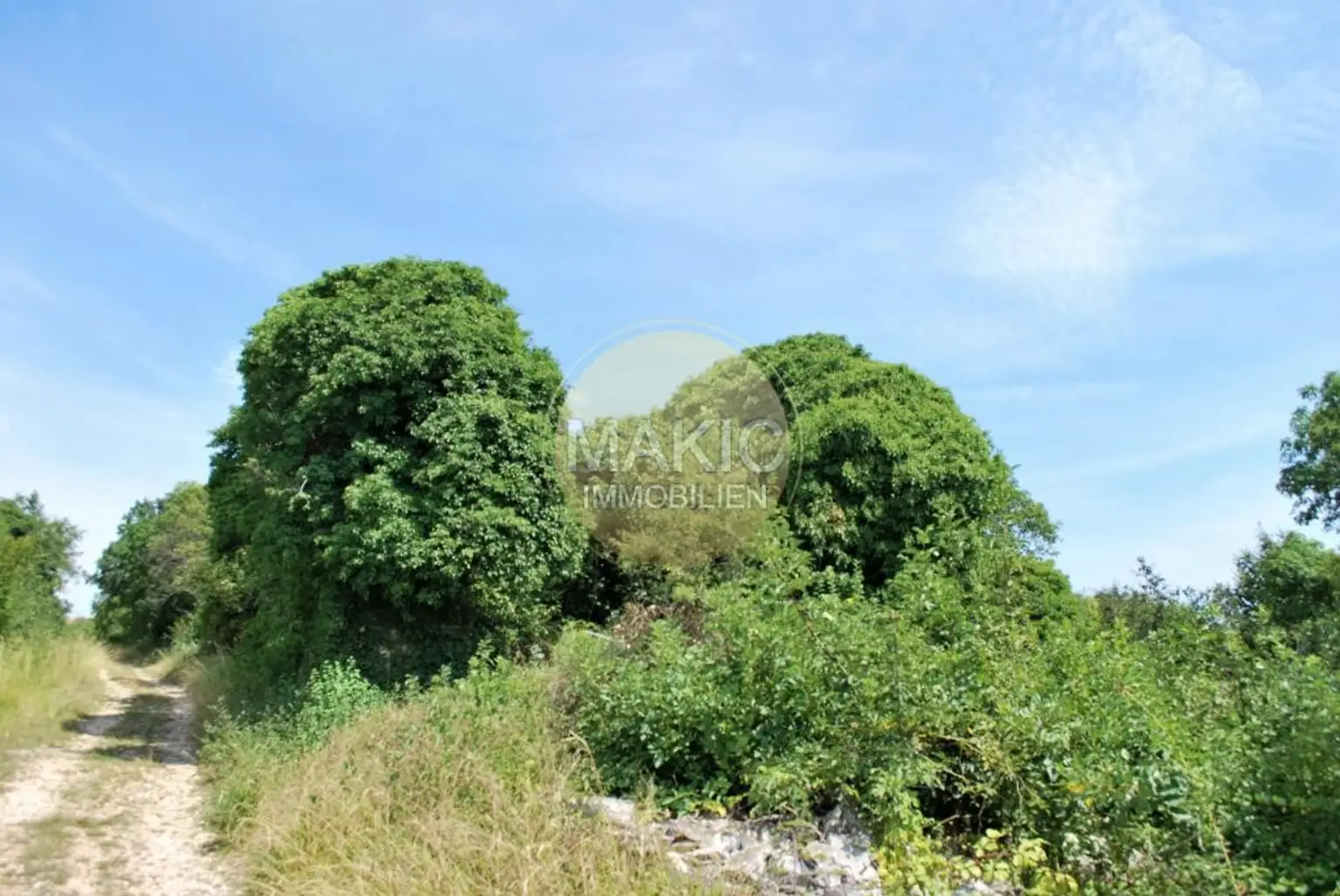 ISTRIEN - RENOVIERUNGSBEDÜRFTIGES STEINHAUS MIT MEERBLICK