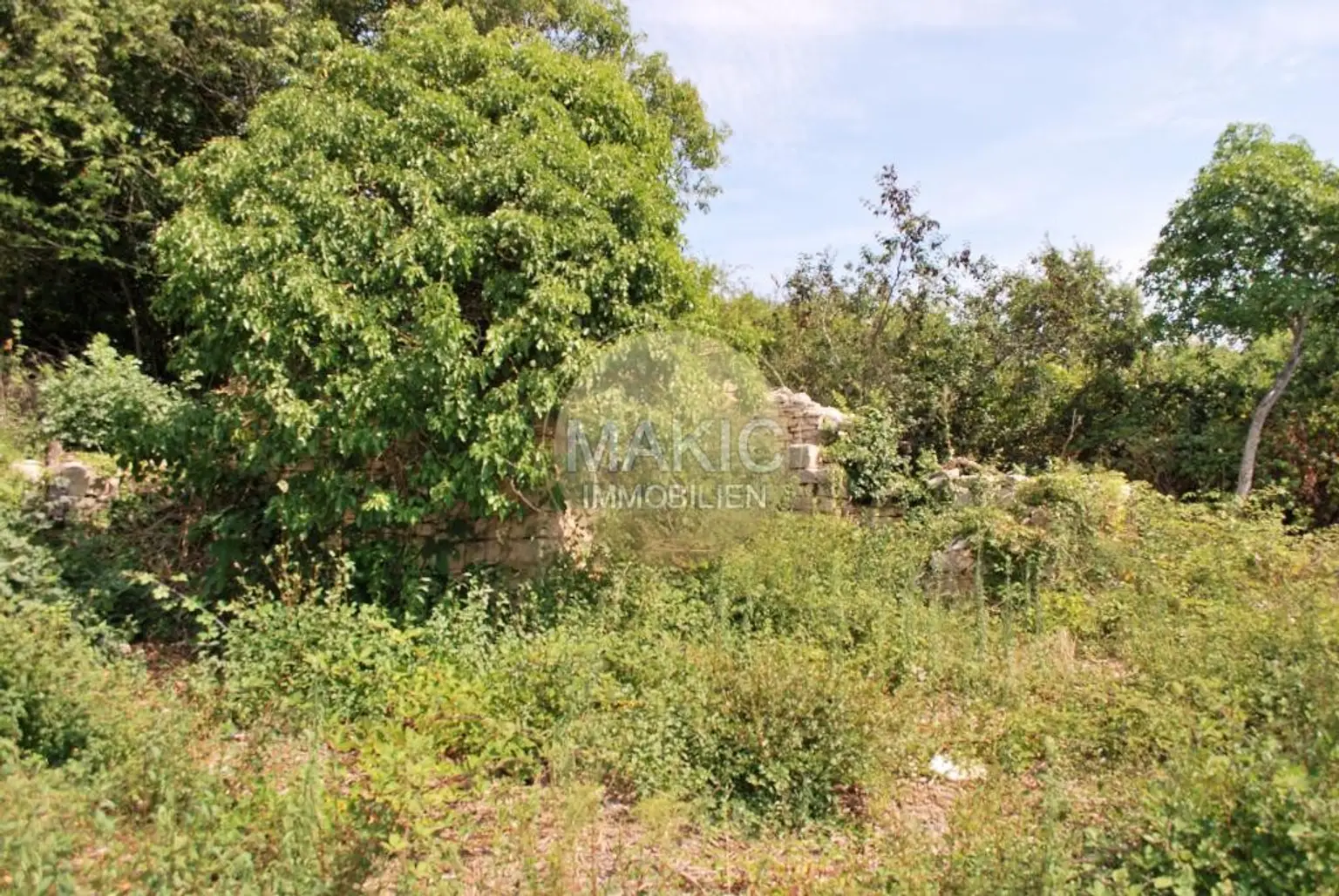 ISTRIEN - RENOVIERUNGSBEDÜRFTIGES STEINHAUS MIT MEERBLICK