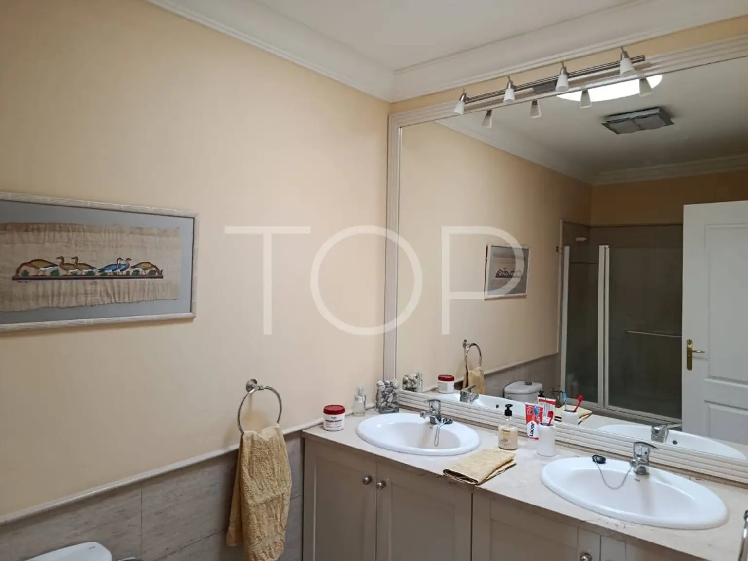 5de532ea-f3b7-41b7-aff5-a27f750bf3f5