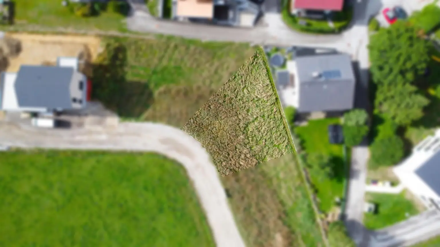 DJI_0620