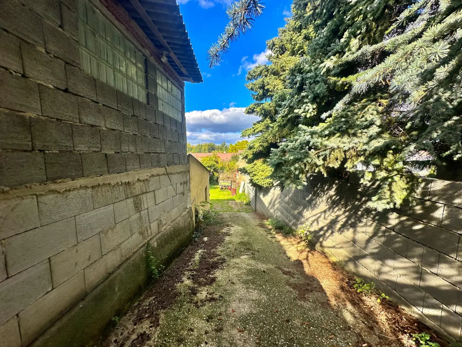 Reiterparadies im Weinviertel – Ihr Traum vom Landleben!