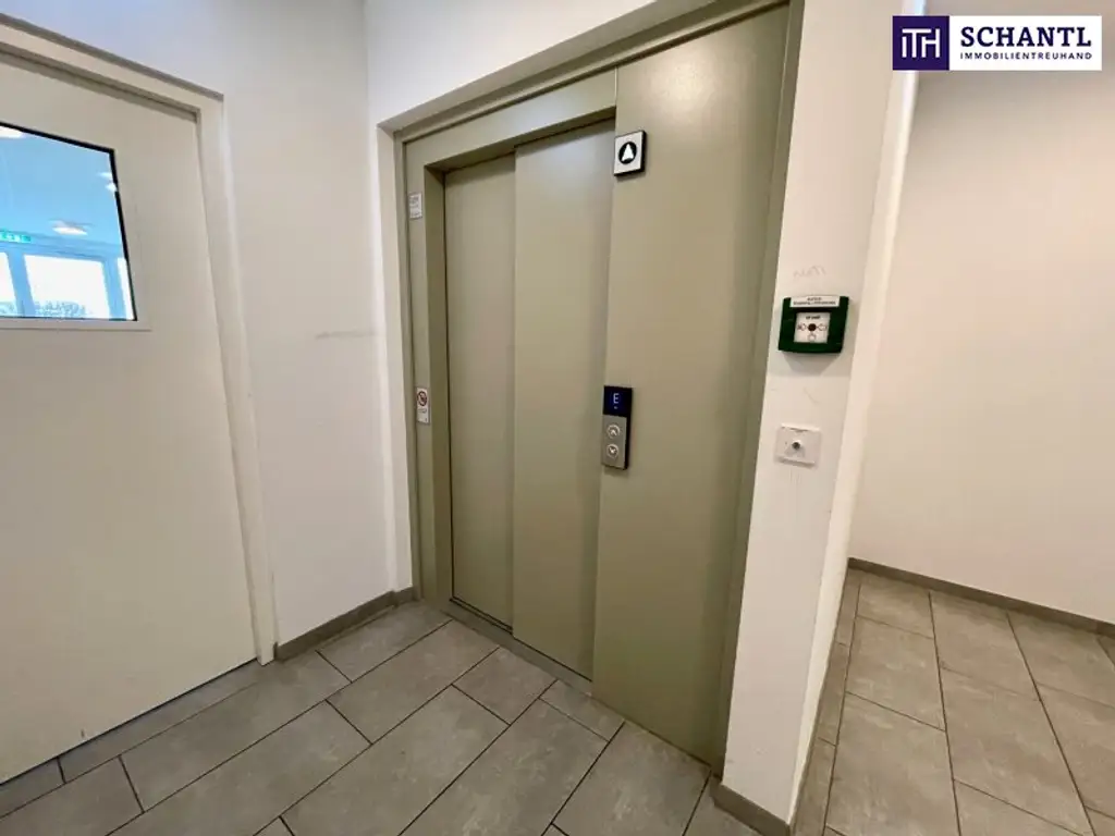 Modern, hell & mit Terrasse – 2-Zimmer-Highlight in der Gymseldorfergasse 48A
